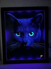 Quadro CAT EYES Luminicente Recarregável