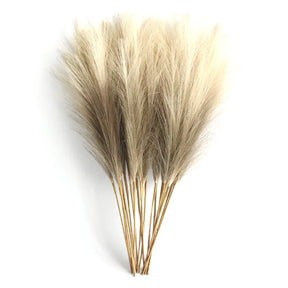Kit 6 Ramos de Capim-dos-Pampas Artificial
