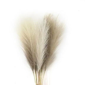 Kit 6 Ramos de Capim-dos-Pampas Artificial